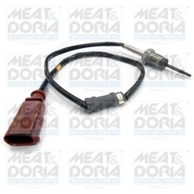 Sensor, exhaust gas temperature